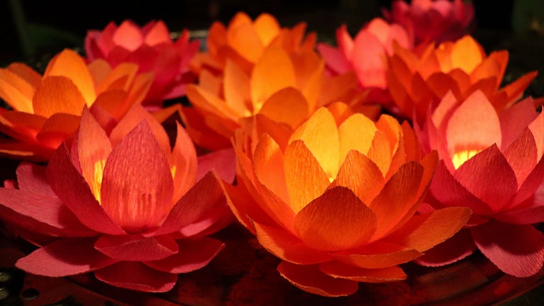 Pink and orange handmade paper lotus flowers